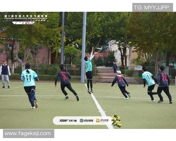 武汉飞盘队的拼搏之路：追寻梦想与团结的力量